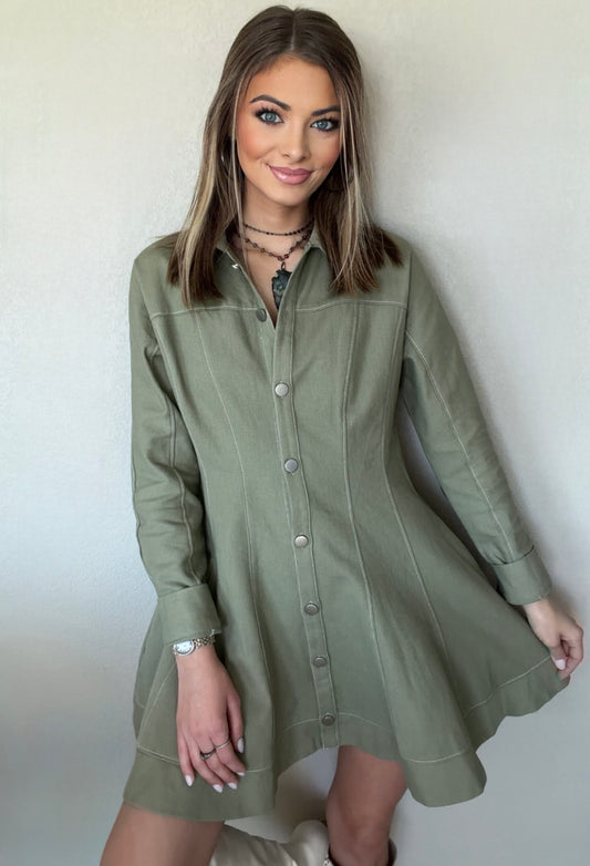 Wild Olive Fit & Flare Dress